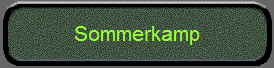 Sommerkamp